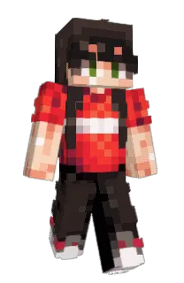 Front of YoGoFish's skin