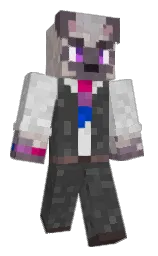 Minecraft skin — Classic model