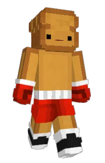 Front of Minecraft skin