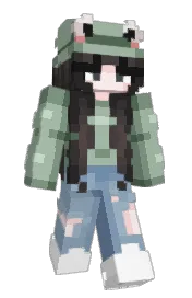 Skin preview