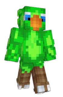 Front of Stusha's skin