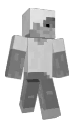 IchBinHanz's Minecraft skin wearing the Migrator cape