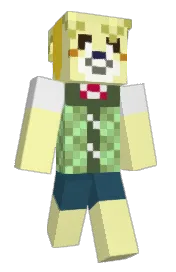 Skin preview