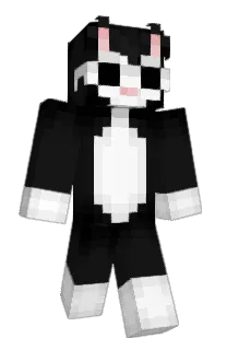 Front of 2c37's skin