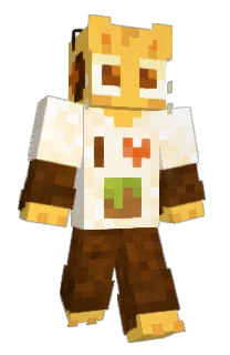 Front of Minecraft skin