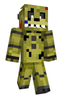 Front of whygo's skin