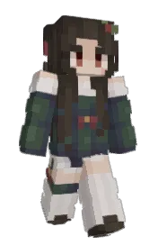 Skin preview