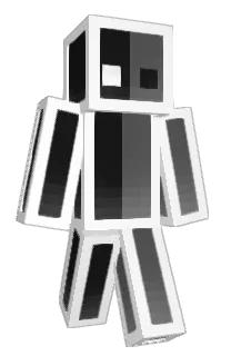 Front of WokEnder's skin