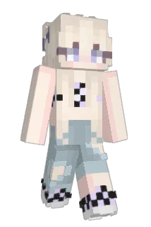 aPerfect Minecraft avatar full body