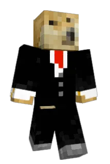 aR2wo Minecraft avatar full body
