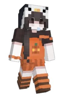 a_rinn Minecraft avatar full body