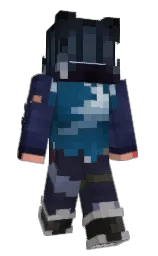 charade and steel gray Minecraft skin — Classic model