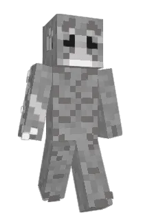 Front of baldis_'s skin