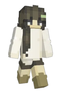 aa1yn_ Minecraft avatar full body