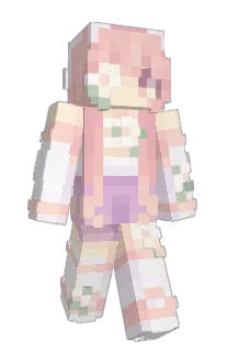 Front of Minecraft skin