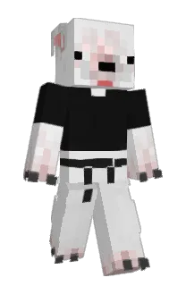 Front of KapoZero's skin