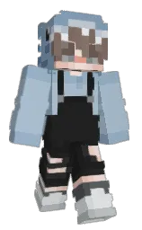 Minecraft skin — Classic model