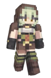 Skin preview