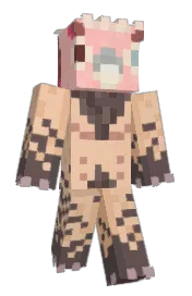 Skin preview