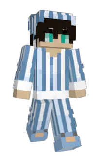 Front of Revieh's skin