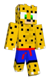 Skin preview