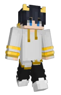 Front of Fliege9's skin