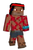 Elec_fox
