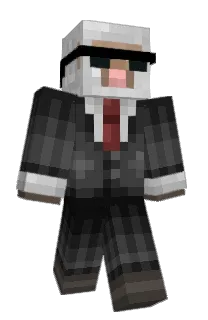 Front of CR0N_1's skin