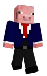 shannr's Minecraft skin wearing the Migrator cape