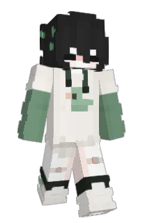 Front of pwdyn's skin