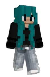 Skin preview