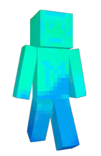 Front of mc8689's skin