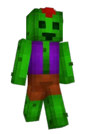Skin preview