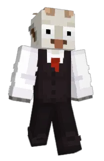 Front of vlokking's skin