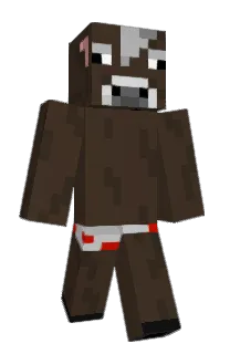Front of PUPU66's skin