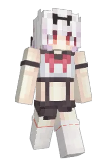aaacbd Minecraft avatar full body