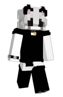 Front of smokwr's skin