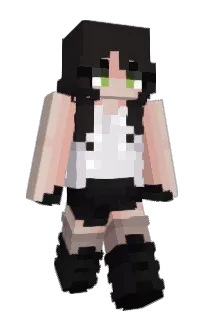 Front of Minecraft skin