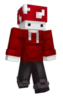 Front of BoxShroom's skin