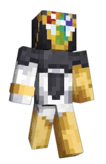 Front of vibrantsystem's skin