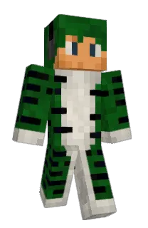 Front of tigerTMD's skin