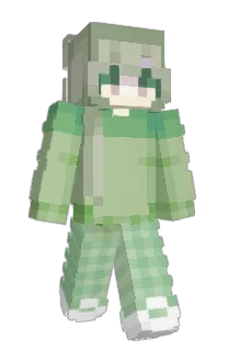 Front of 66pe's skin