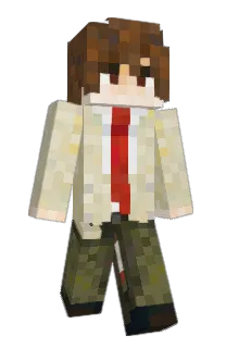 Front of roinnow's skin