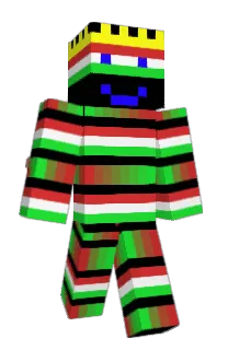 Front of ERVIX's skin