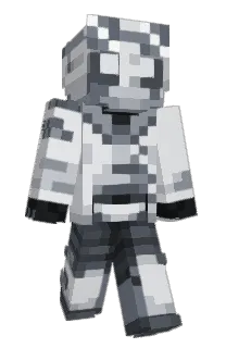 Front of destirity's skin