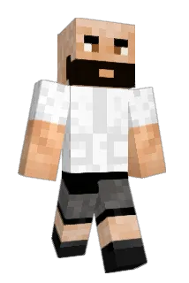 aadrips Minecraft avatar full body
