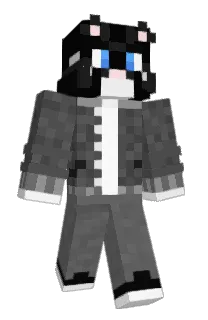 Front of DicedBooks's skin