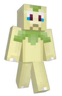 Front of S0k0n's skin