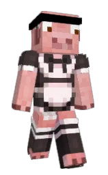 Minecraft skin — Classic model