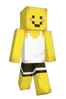 aakiiii Minecraft avatar full body
